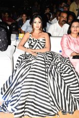 Naa Peru Surya Naa Illu India Pre Release Event Photos